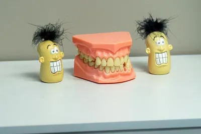 model of a set of teeth